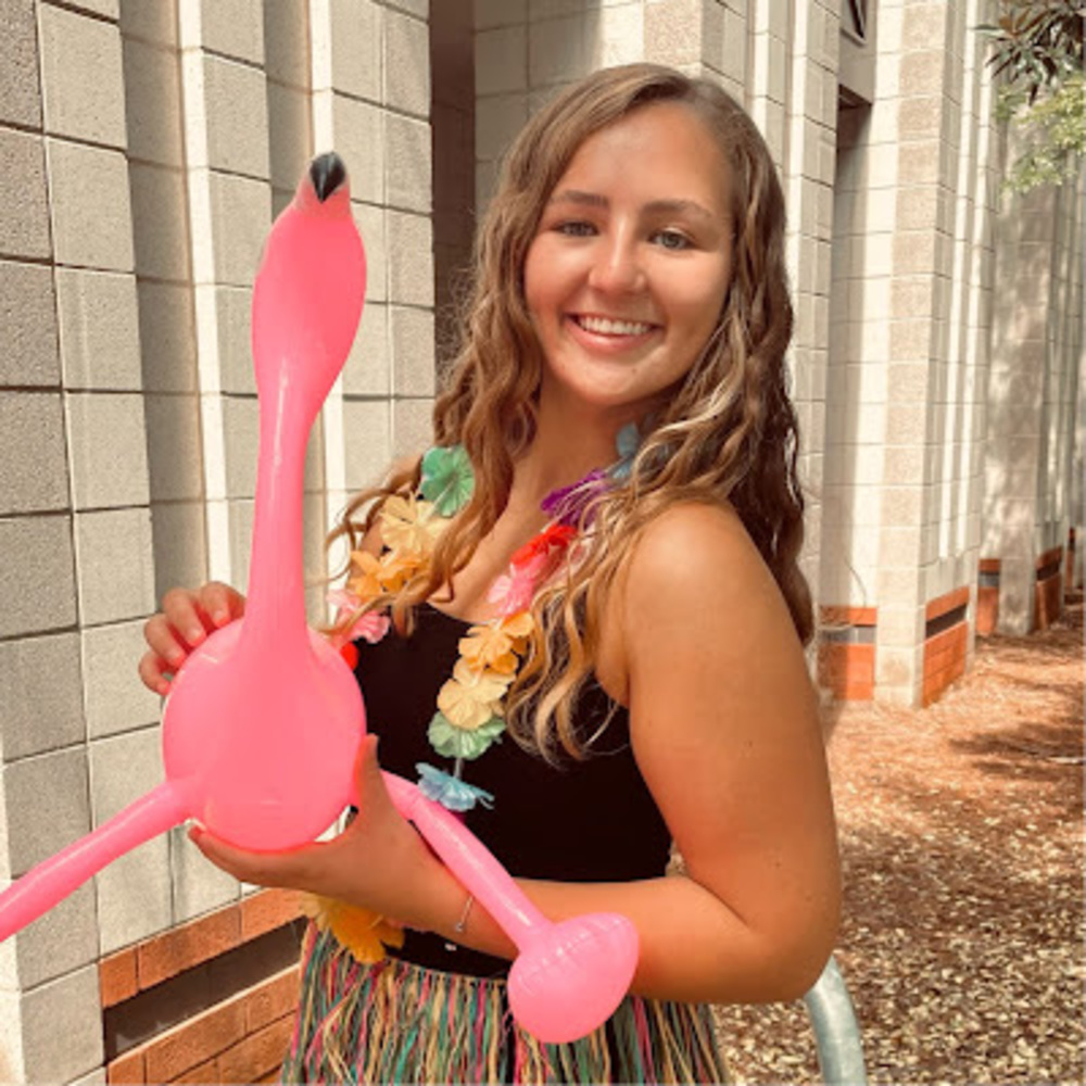 Meet your Posher, Sarah b.